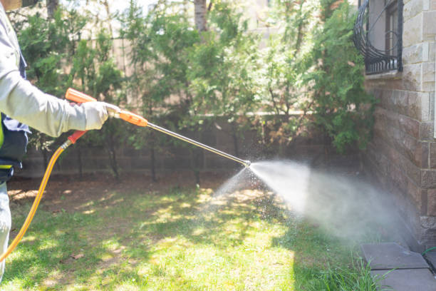 Professional Pest Control in Manorville, NY